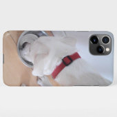 かわいい白いラブラドールミックス子犬の飲料水 iPhoneケース (裏面横)