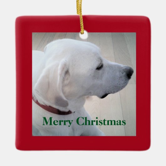かわいい白いラブラドールミックス犬プロフィール赤いクリスマス セラミックオーナメント (正面)