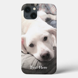 かわいい白いラブラドールレトリエバーミックスドッグの写真 iPhone 13ケース