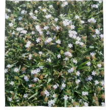 かわいい白いワイルドフラワーオングラスフォトプリントデザイン