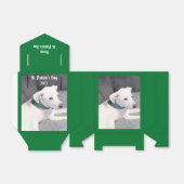 かわいい白い子犬が緑のスカーフを巻く フェイバーボックス (折り畳みなし)