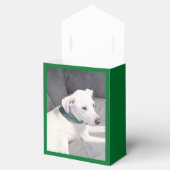 かわいい白い子犬が緑のスカーフを巻く フェイバーボックス (オープン)