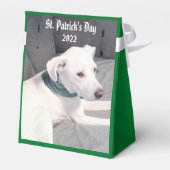 かわいい白い子犬が緑のスカーフを巻く フェイバーボックス (裏面サイド)