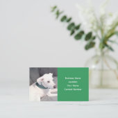かわいい白い子犬が緑のスカーフを巻く 名刺 (スタンド正面)