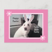 かわいい白い子犬のイースターバニーの耳のPosを着て ポストカード (正面)