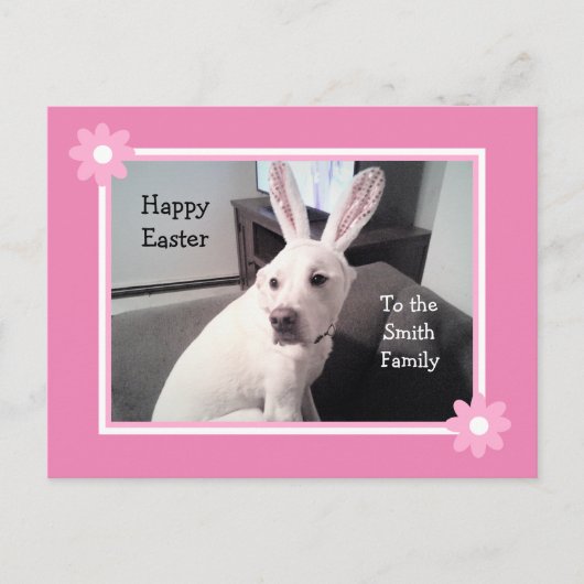 かわいい白い子犬のイースターバニーの耳のPosを着て ポストカード (正面)
