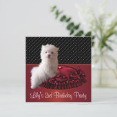 かわいい白い子犬のバースデーパーティ招待状 招待状 (スタンド正面)