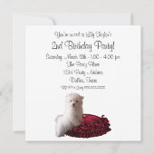 かわいい白い子犬のバースデーパーティ招待状 招待状 (裏面)