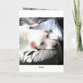 かわいい白い子犬のパパ写真おもしろい カード (裏面)