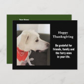 かわいい白い子犬のプロフィール感謝祭の写真 ポストカード (正面/裏面)