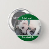 かわいい白い子犬の写真:聖パトリックの日 缶バッジ (正面&裏面)