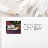 かわいい白い子犬の差出人住所メールのシール ラベル (インサイチュ)