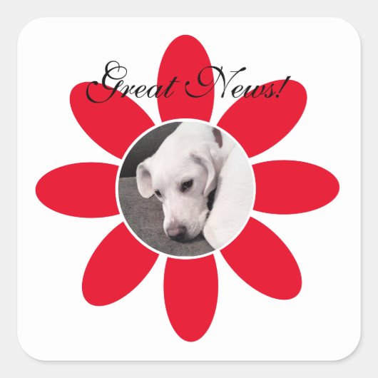 かわいい白い子犬の甘い赤い花枠 スクエアシール (正面)