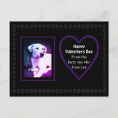 かわいい白い子犬の紫のハートからペット ポストカード (正面)