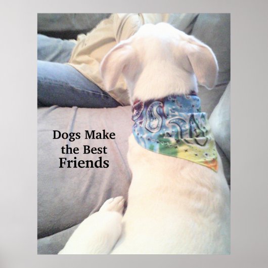 かわいい白い子犬の見守りパパ ポスター (正面)