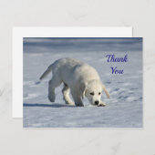 かわいい白い子犬の雪の写真ありがとう ポストカード (正面/裏面)