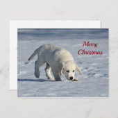 かわいい白い子犬の雪の写真クリスマス ポストカード (正面/裏面)