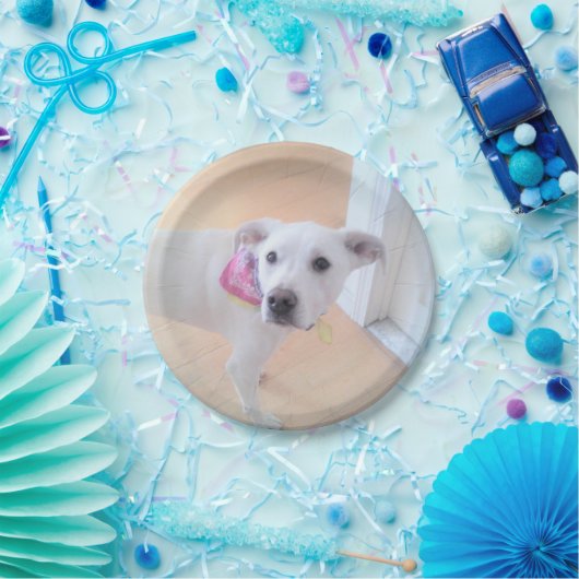 かわいい白い子犬の顔 ペーパープレート (パーティー)