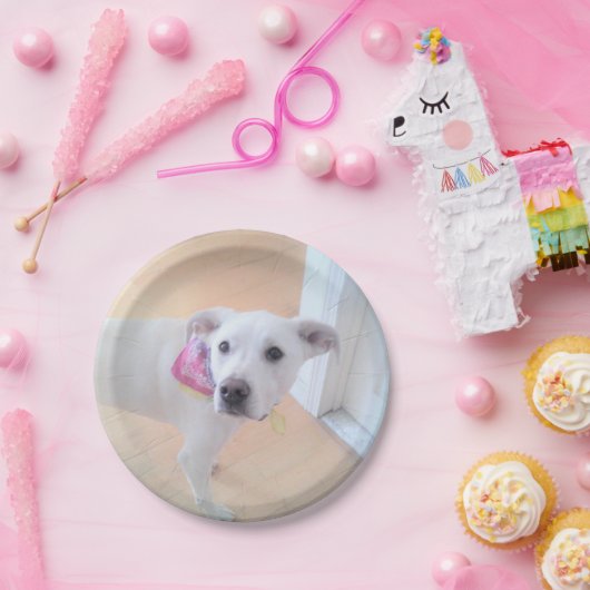 かわいい白い子犬の顔 ペーパープレート (パーティー)