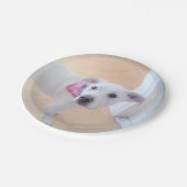 かわいい白い子犬の顔 ペーパープレート (アングル)