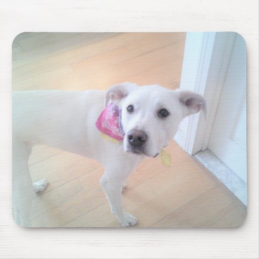 かわいい白い子犬の顔 マウスパッド (正面)