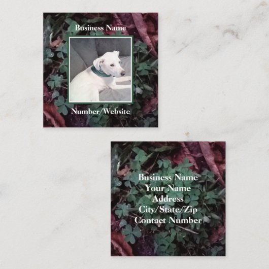 かわいい白い子犬シャムロッククローバーグリーン スクエア名刺 (正面/裏面)