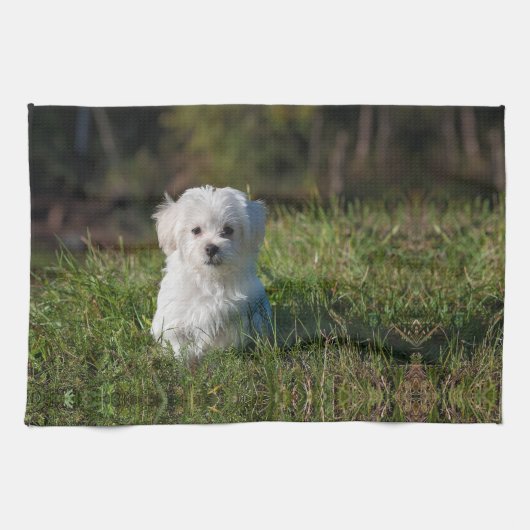 かわいい白い子犬 キッチンタオル (横)