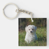 かわいい白い子犬 キーホルダー (正面)