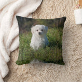 かわいい白い子犬 クッション (ブランケット)