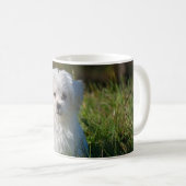 かわいい白い子犬 コーヒーマグカップ (正面右)