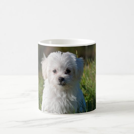 かわいい白い子犬 コーヒーマグカップ (中央)