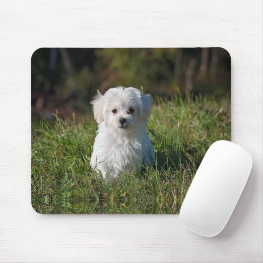 かわいい白い子犬 マウスパッド (マウス)