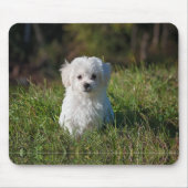かわいい白い子犬 マウスパッド (正面)
