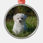 かわいい白い子犬 メタルオーナメント (正面)