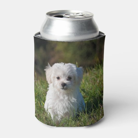かわいい白い子犬 缶クーラー (缶正面)