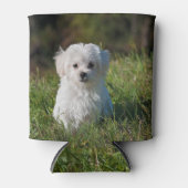 かわいい白い子犬 缶クーラー (正面)