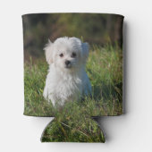 かわいい白い子犬 缶クーラー (裏面)