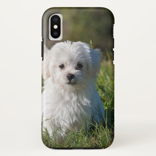 かわいい白い子犬 Case-Mate iPhoneケース (裏面)