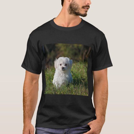 かわいい白い子犬 Tシャツ (正面)