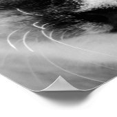 かわいい白い子猫と青い目 ポスター (角)