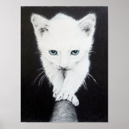かわいい白い子猫の動物のイラスト 猫好きさんに ポスター