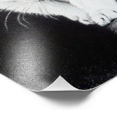 かわいい白い子猫の動物スケッチアート猫好き フォトプリント            (角)