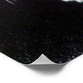 かわいい白い子猫の動物スケッチアート猫好き ポスター (角)