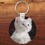 かわいい白い子猫 キーホルダー (正面)