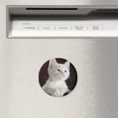 かわいい白い子猫 マグネット (インサイチュ (食洗機))