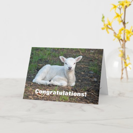 かわいい白い子羊のお祝いの洗礼 カード (黄色い花)