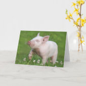 かわいい白い子豚が花を匂う カード (黄色い花)