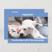 かわいい白い怠け犬の写真(パパブルー) シーズンポストカード (正面/裏面)