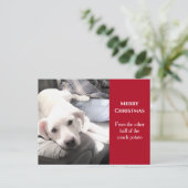 かわいい白い犬とパパ赤のクリスマス シーズンポストカード (スタンド正面)