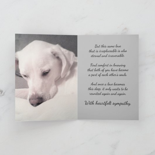 かわいい白い犬のグレーロスオブペット悔やみや弔慰 カード (内部)
